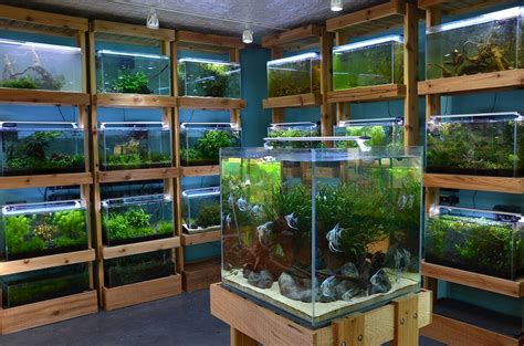 aquarium stores in baltimore